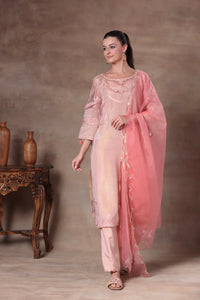 Peach Organza Illusion Yoke Suit